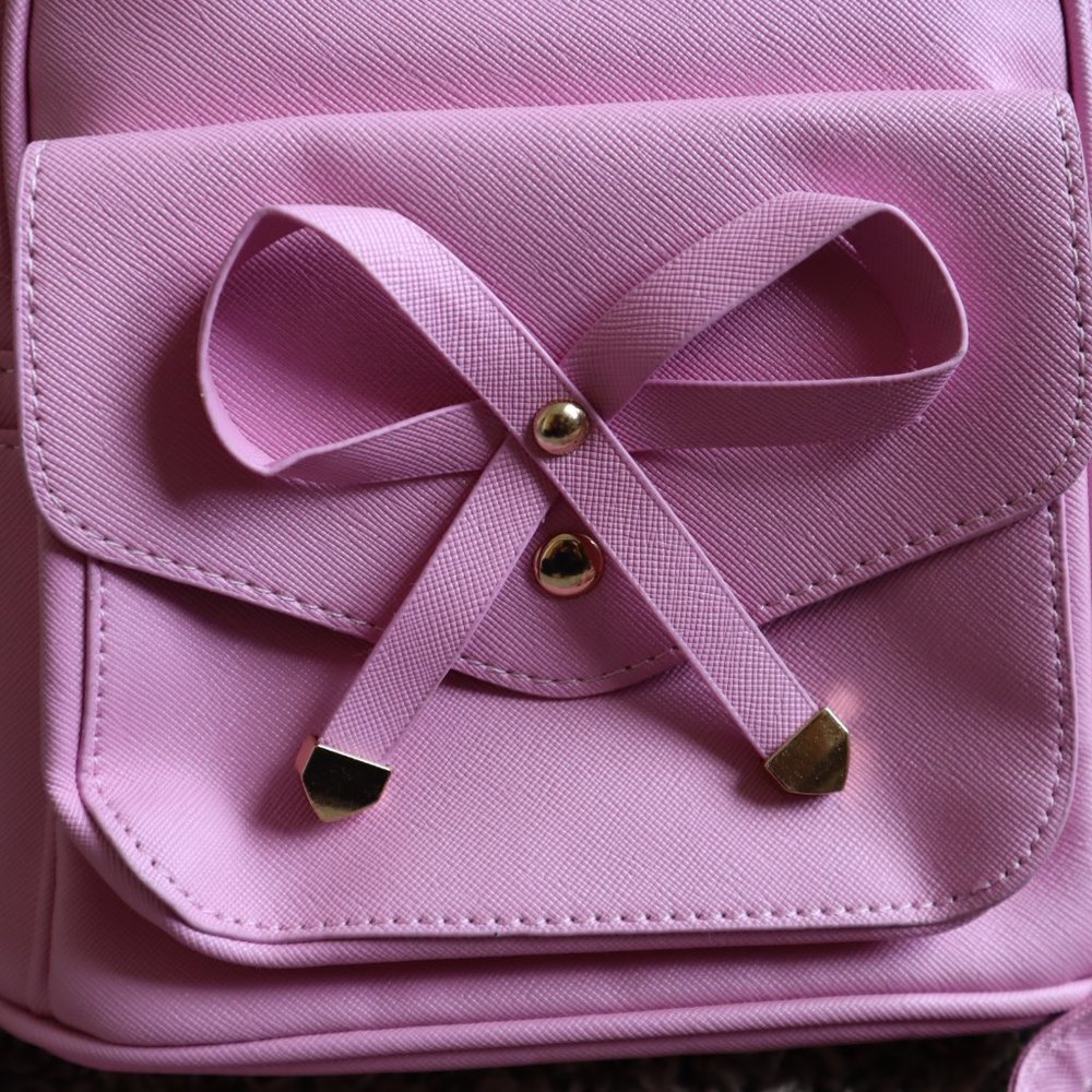 IHAYNER PINK Mini Backpack - Picture 3 of 11